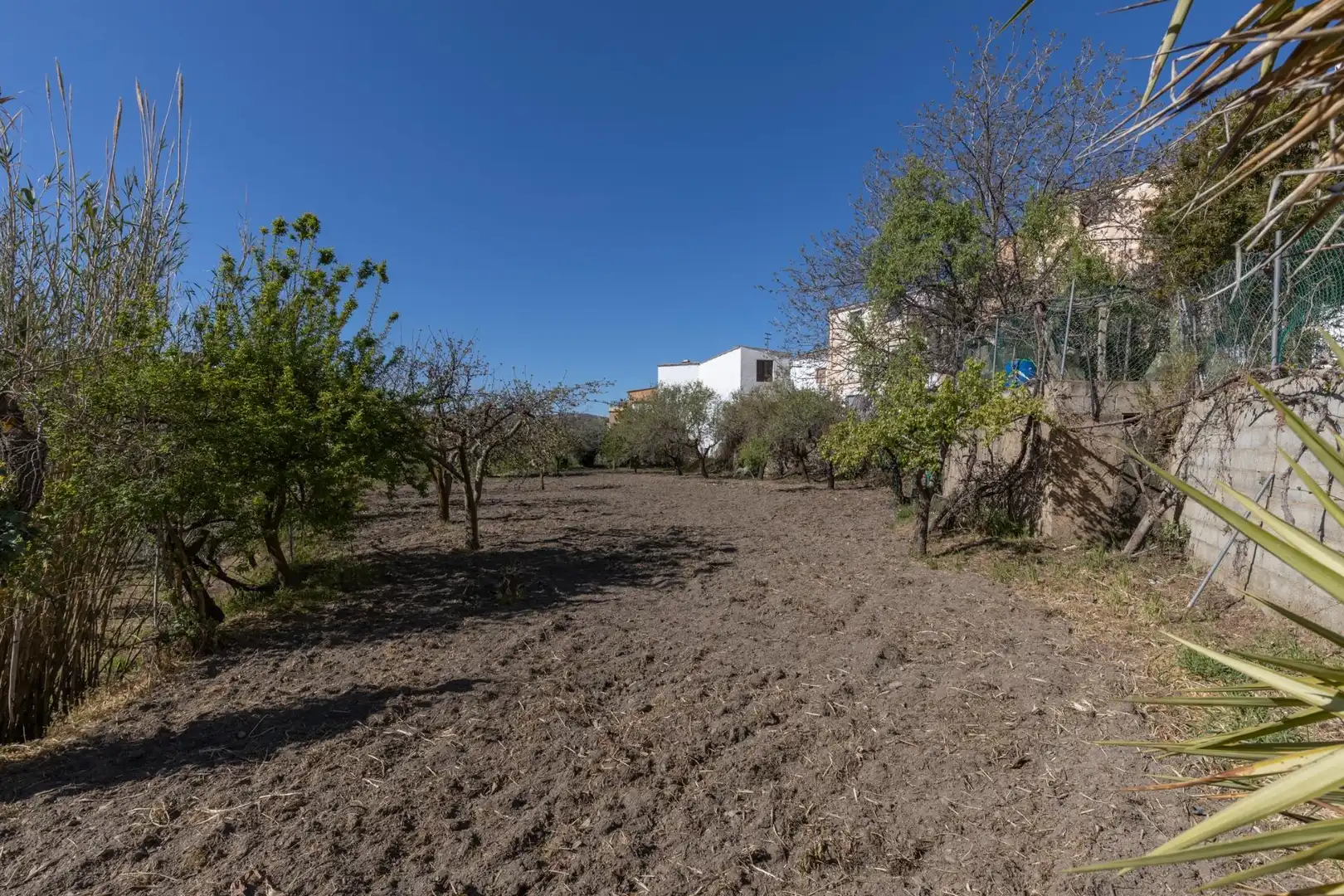 Xalet en venda a Cádiar, imagen 33