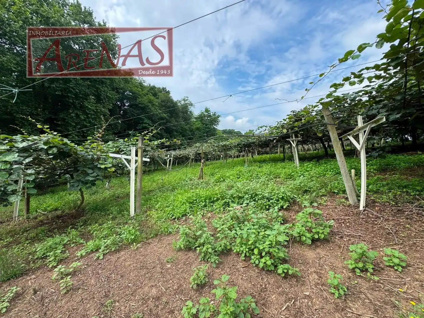 Land for sale in Marina de Cudeyo