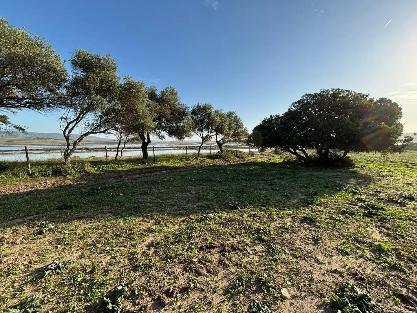 Terreni e lotti in vendita a Vejer, imagen 7