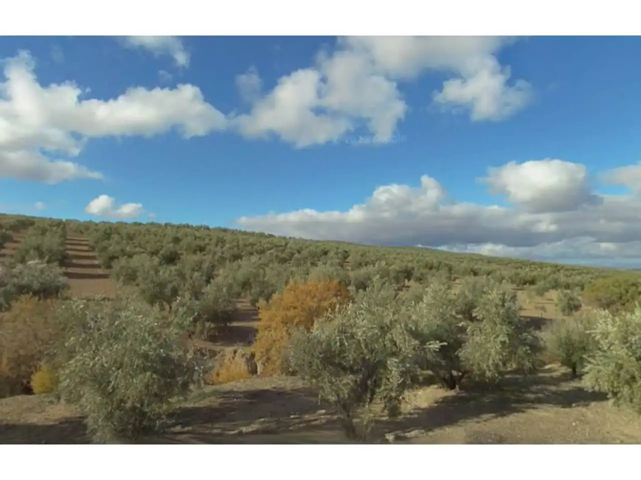 Land for sale in Villatorres