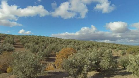 Photo 3 of Land for sale in Camino Brujuelo, Villatorres, Jaén