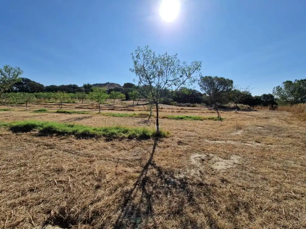Terreno en venta en Binaced