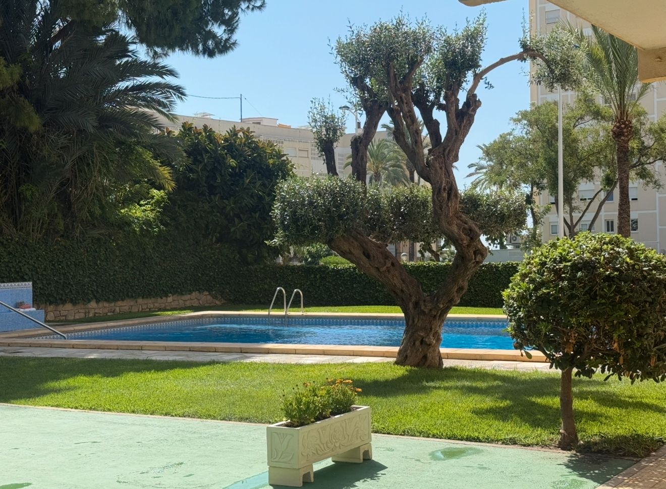 Swimming pool of Apartment for sale in Benidorm  with Terrace, Furnished and Oven