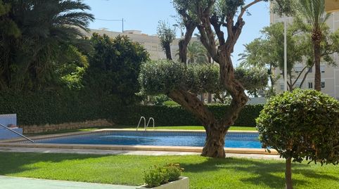 ***Apartamento en Segunda Línea Playa Poniente***, imatge 2