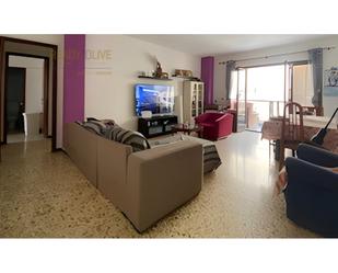 Living room of Flat for sale in Alcúdia  with Terrace, Furnished and Oven