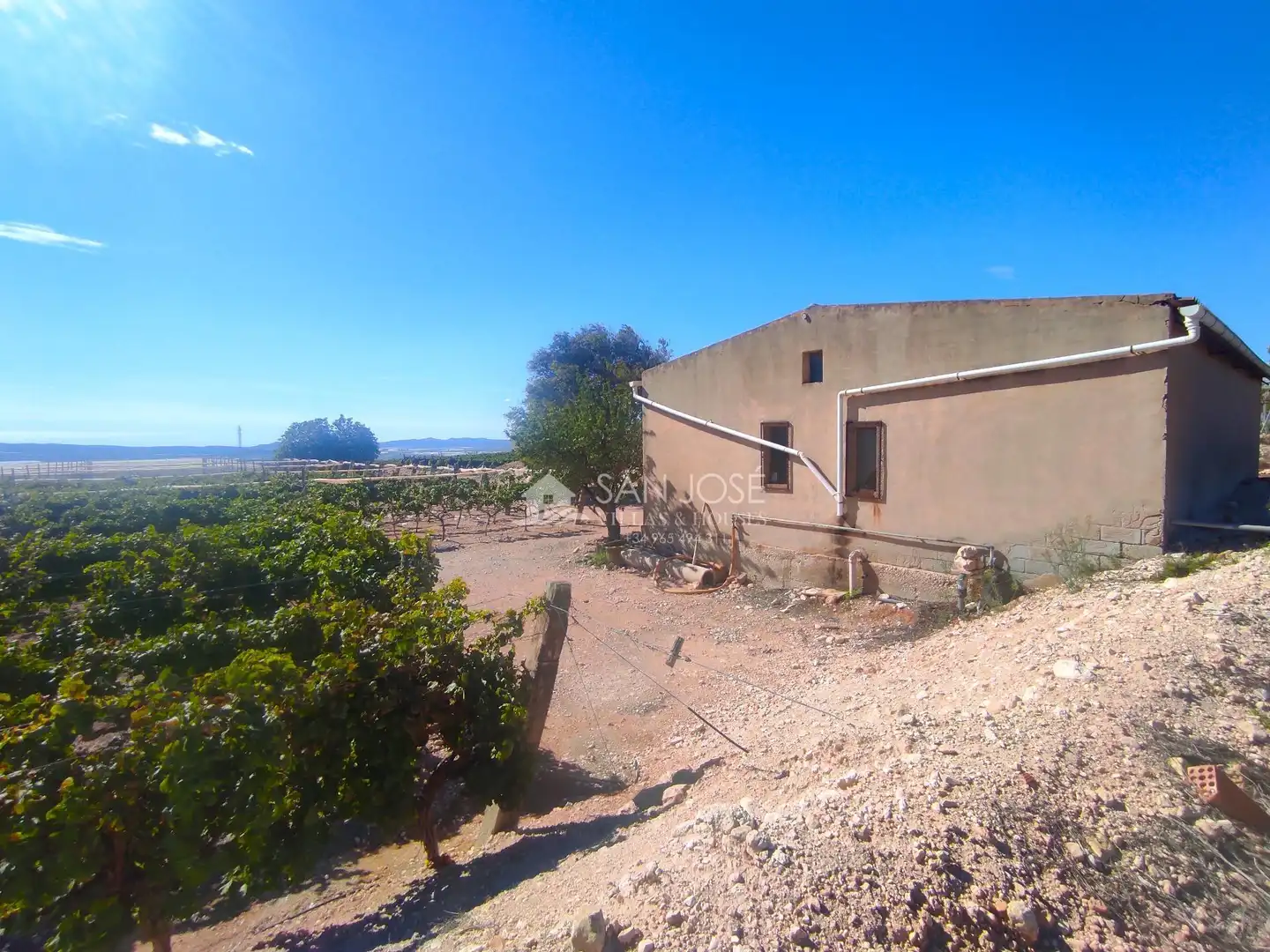 Finca rústica en venda en Monforte del Cid