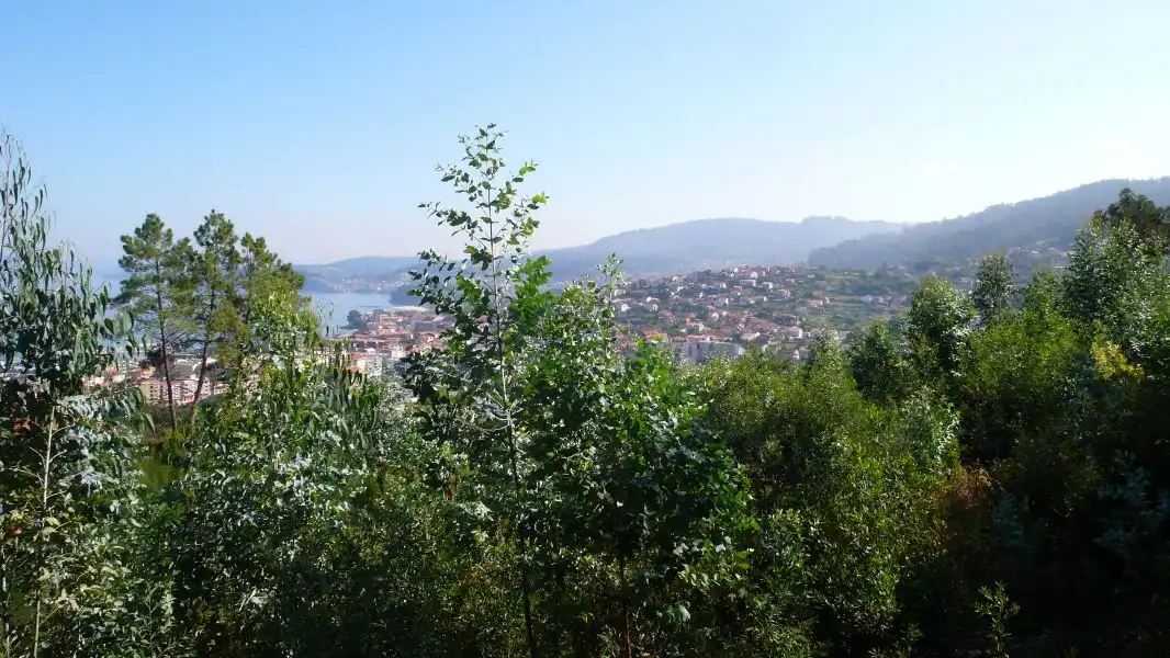 Terreni e lotti in vendita a Ramorta de Arriba, imagen 9