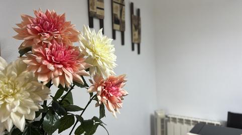 Foto 4 de Pis en venda a Solares - Cl Los Tilos, Solares - Valdecilla, Cantabria