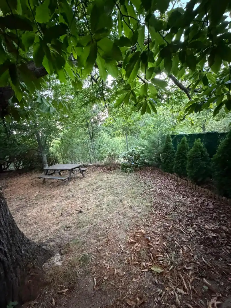 Jardín de Finca rústica en venta en El Arenal  con Amueblado
