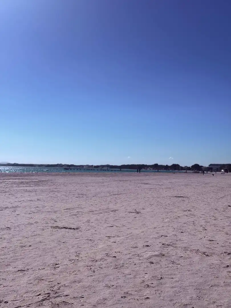 Vista exterior de Apartament en venda en Alcúdia amb Terrassa i Balcó