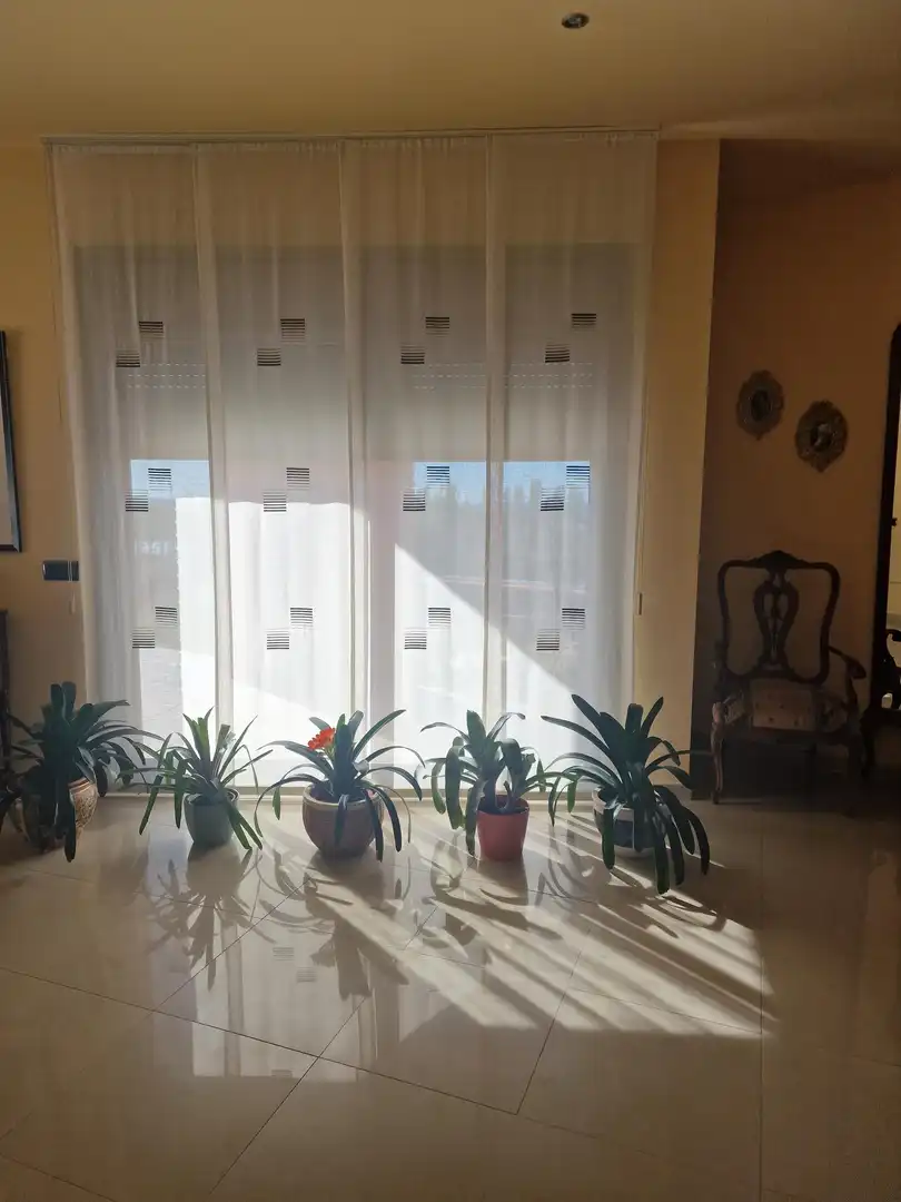 Jardín de Casa o chalet en venta en Les Borges Blanques con Aire acondicionado, Calefacción y Jardín privado