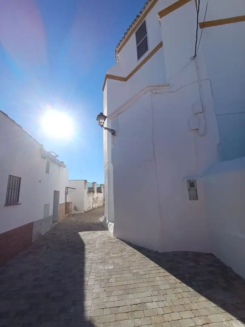 Detached house with terrace for sale in El Garrobo, imagen 32