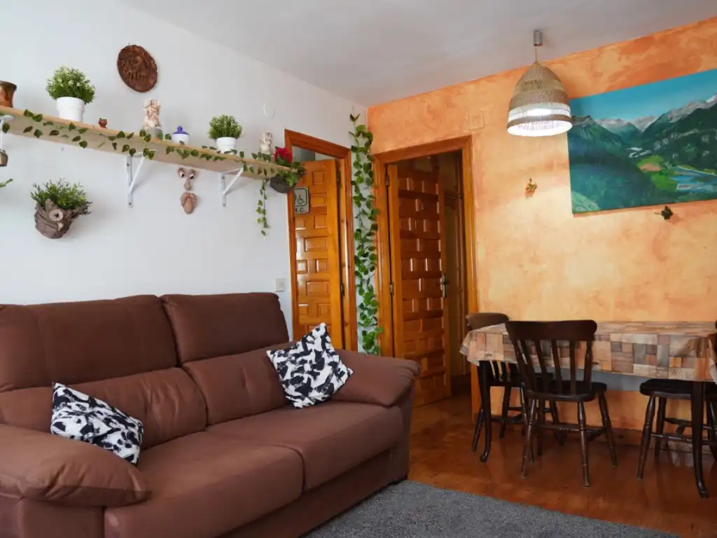 Sala d'estar de Apartament en venda en Bielsa