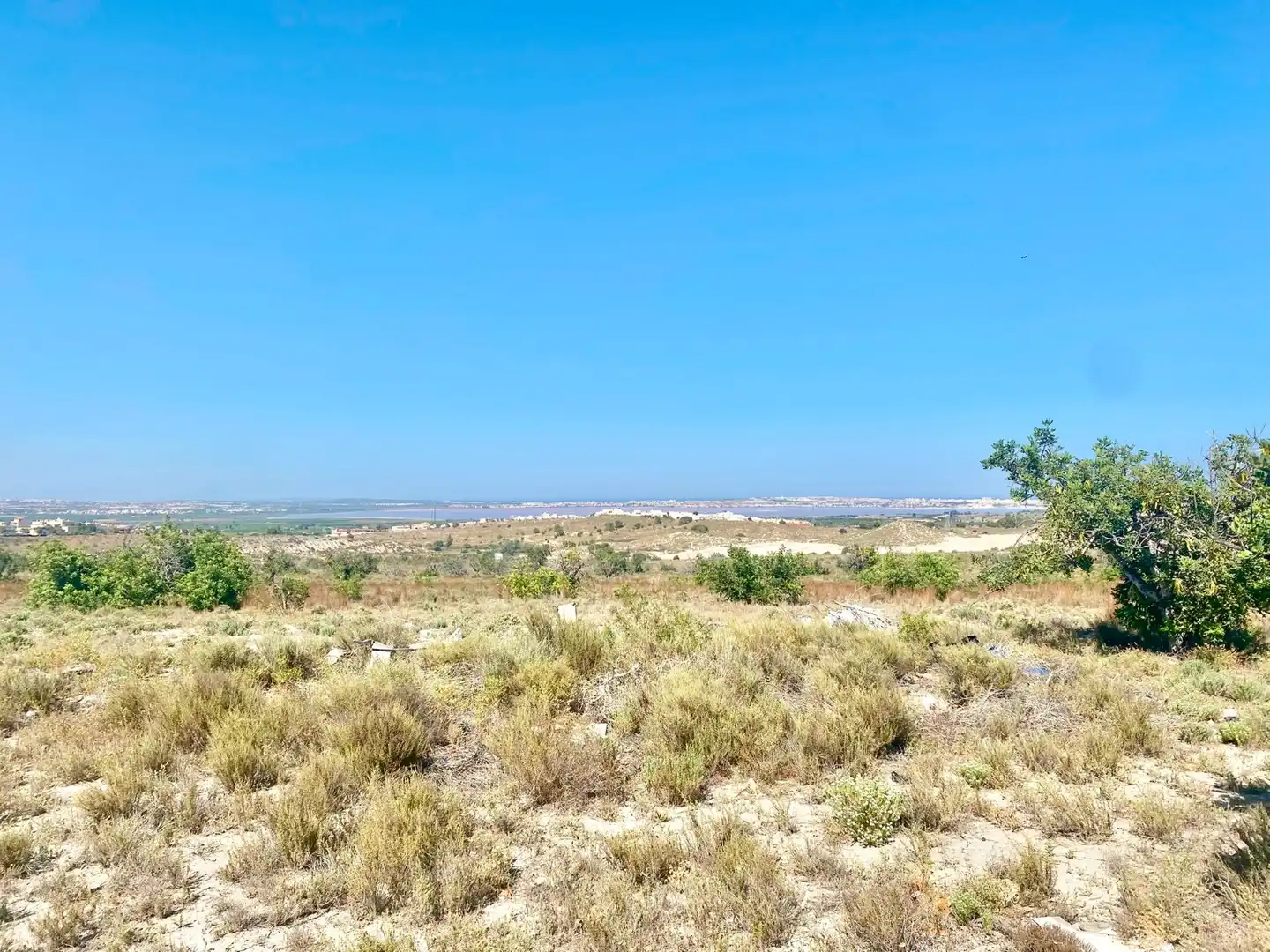 Terrenos y solares en venta en San Miguel de Salinas, imagen 21