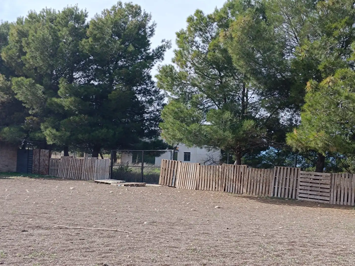 Terreno rustico in vendita a N/A, imagen 3