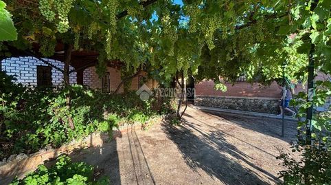 Foto 2 de Finca rústica en venda a Argamasilla de Calatrava, Ciudad Real