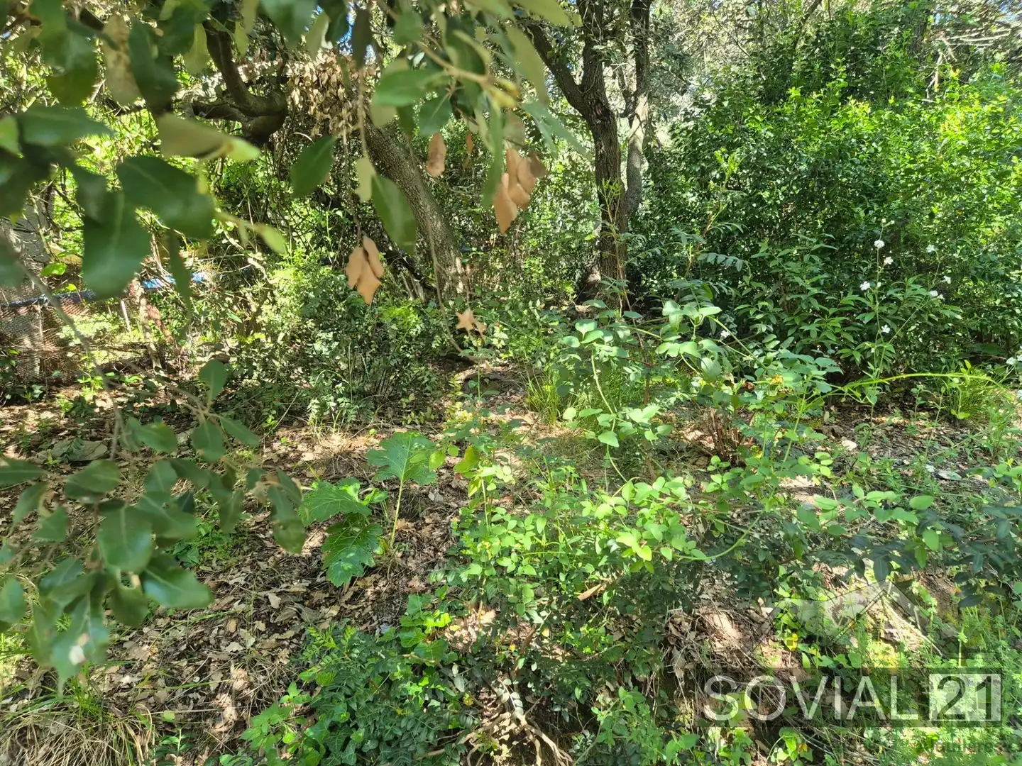 Terreno residenziale in vendita a Les Planes, imagen 19