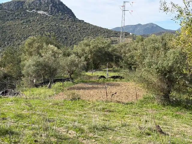 Land for sale in Ubrique