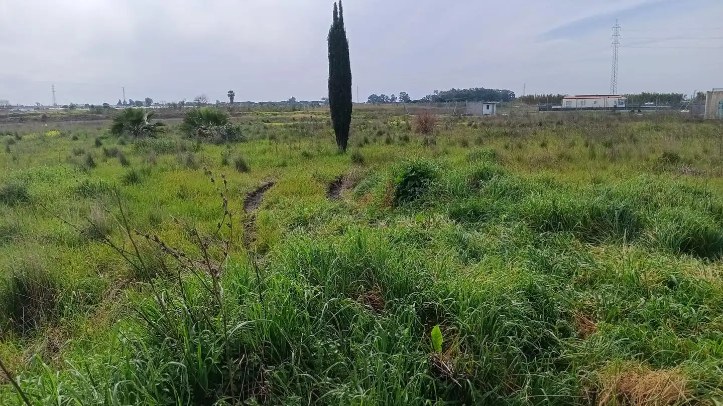 Terreni e lotti in vendita a Algarrobo, imagen 6