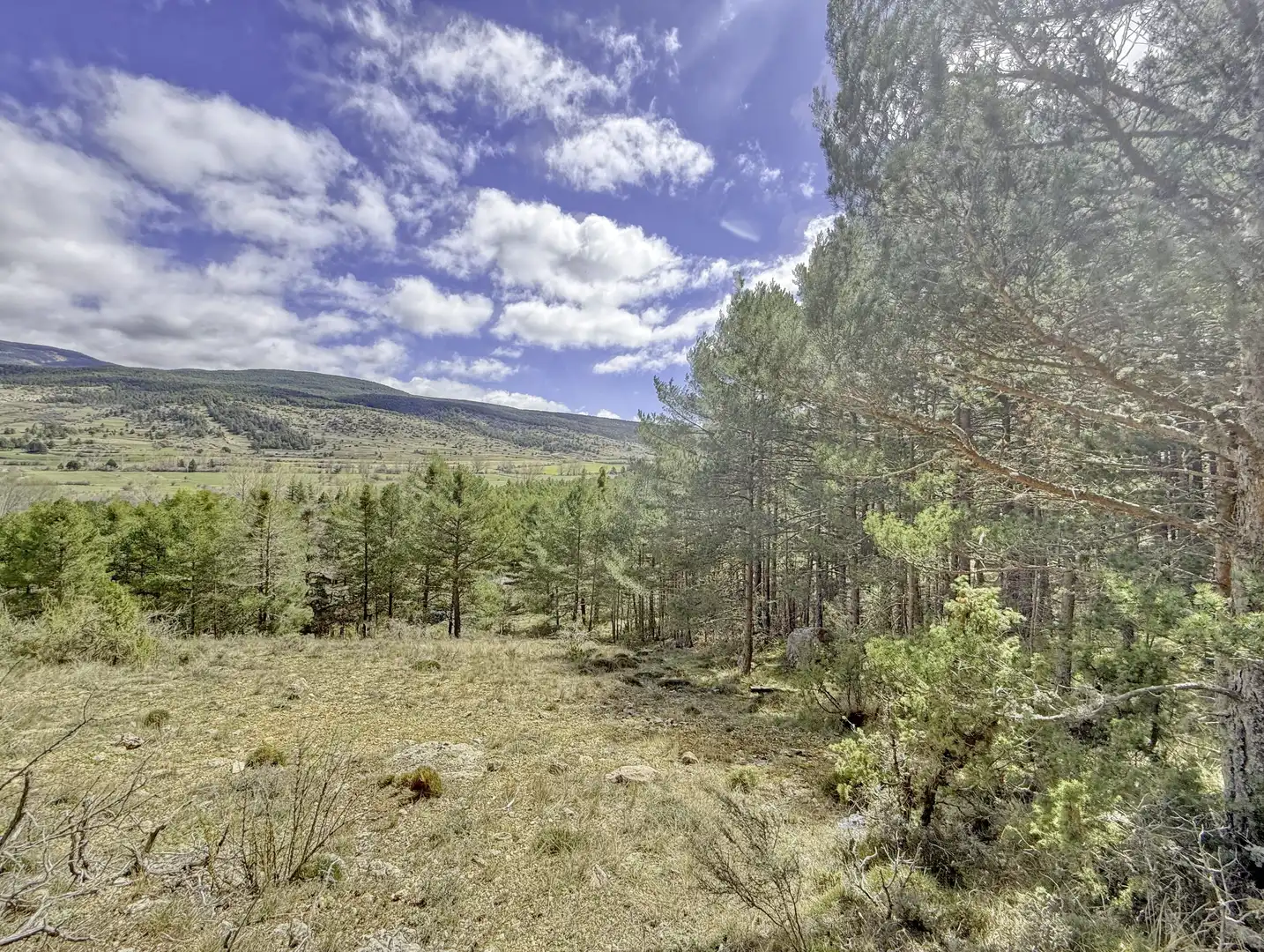 Residencial en venta en Alcalá de la Selva