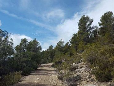 Rural land for sale in Calle Entre los Molinos