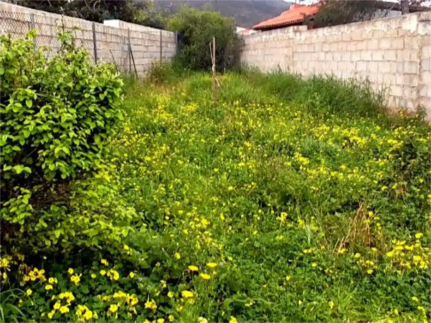 Wohnung zum Verkauf in Pedanías Oeste