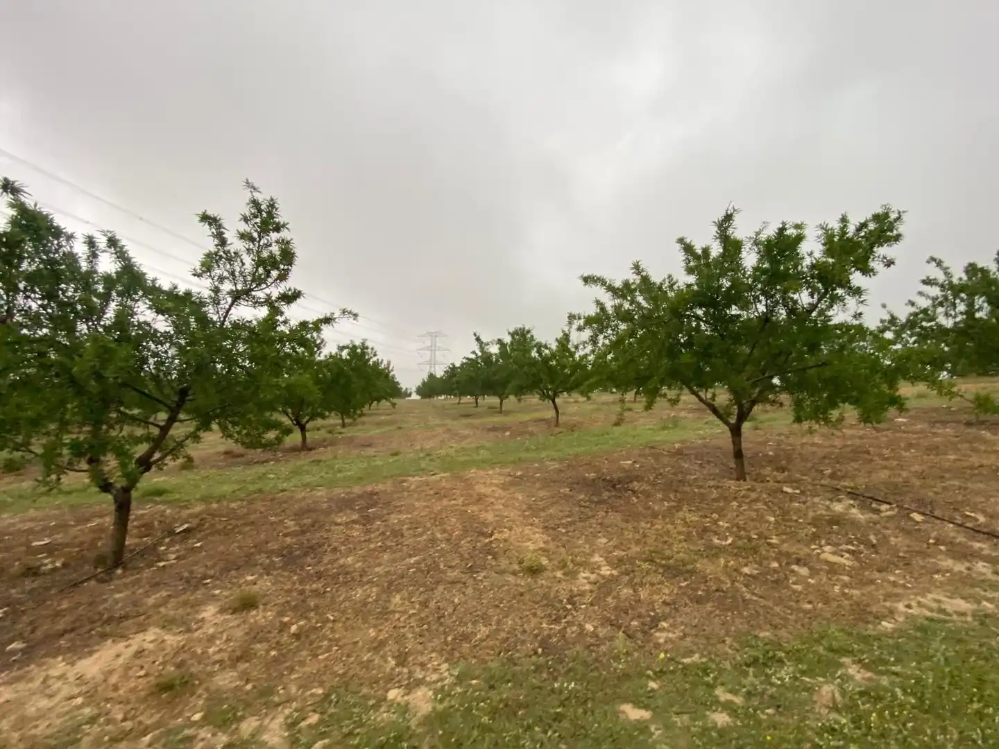 Terreni e lotti in vendita a Guadahortuna, imagen 31
