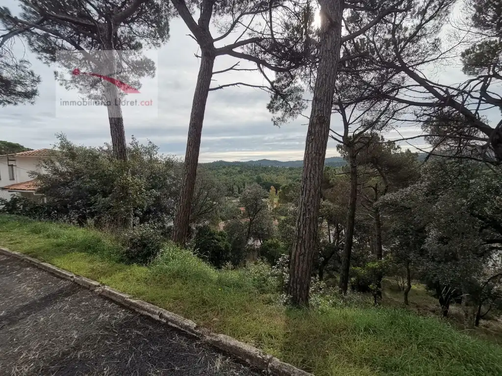 Terreny residencial en venda a Carrer del Puig Colomer 116, imagen 5