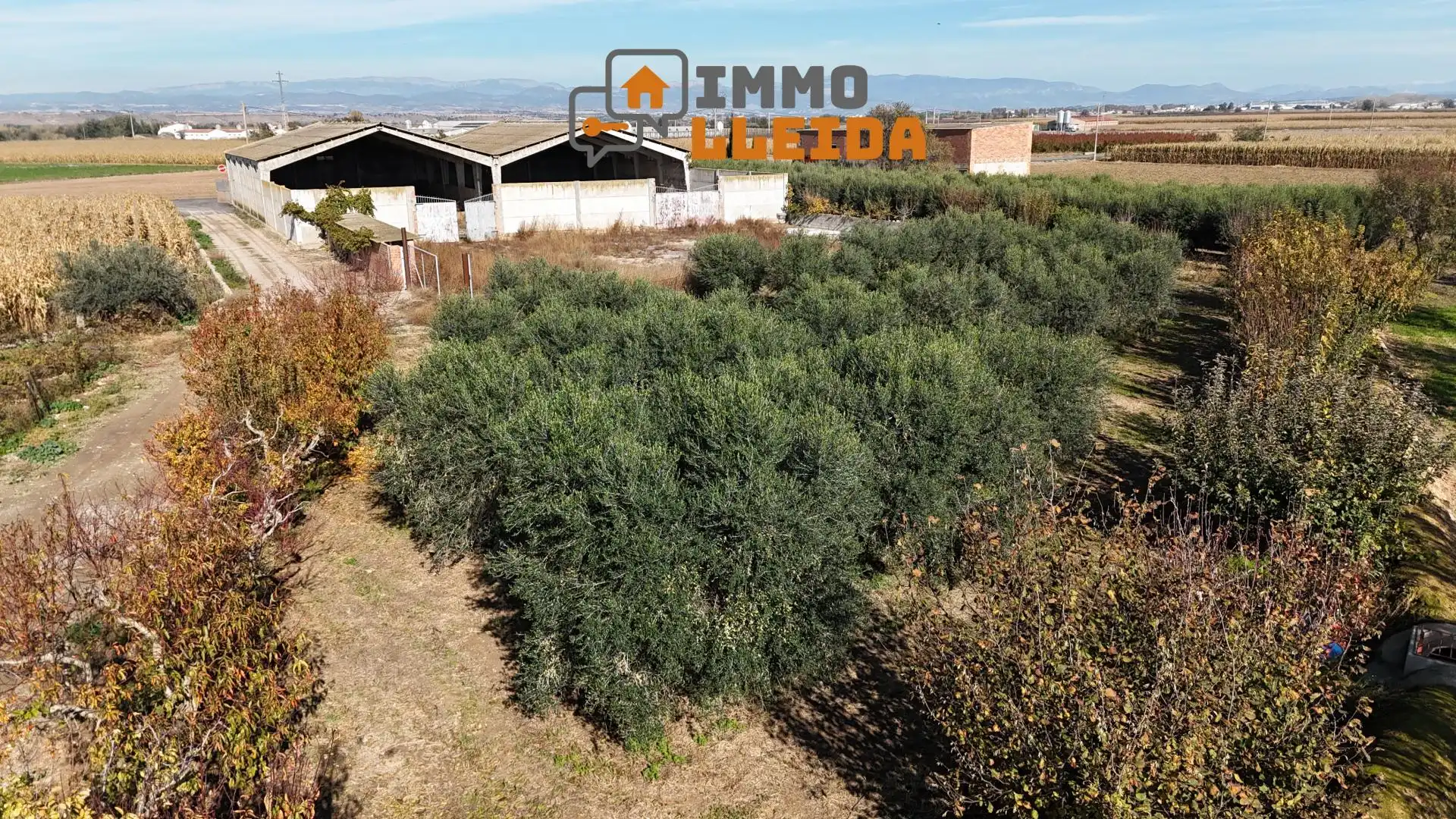 Nau industrial en venda en Térmens