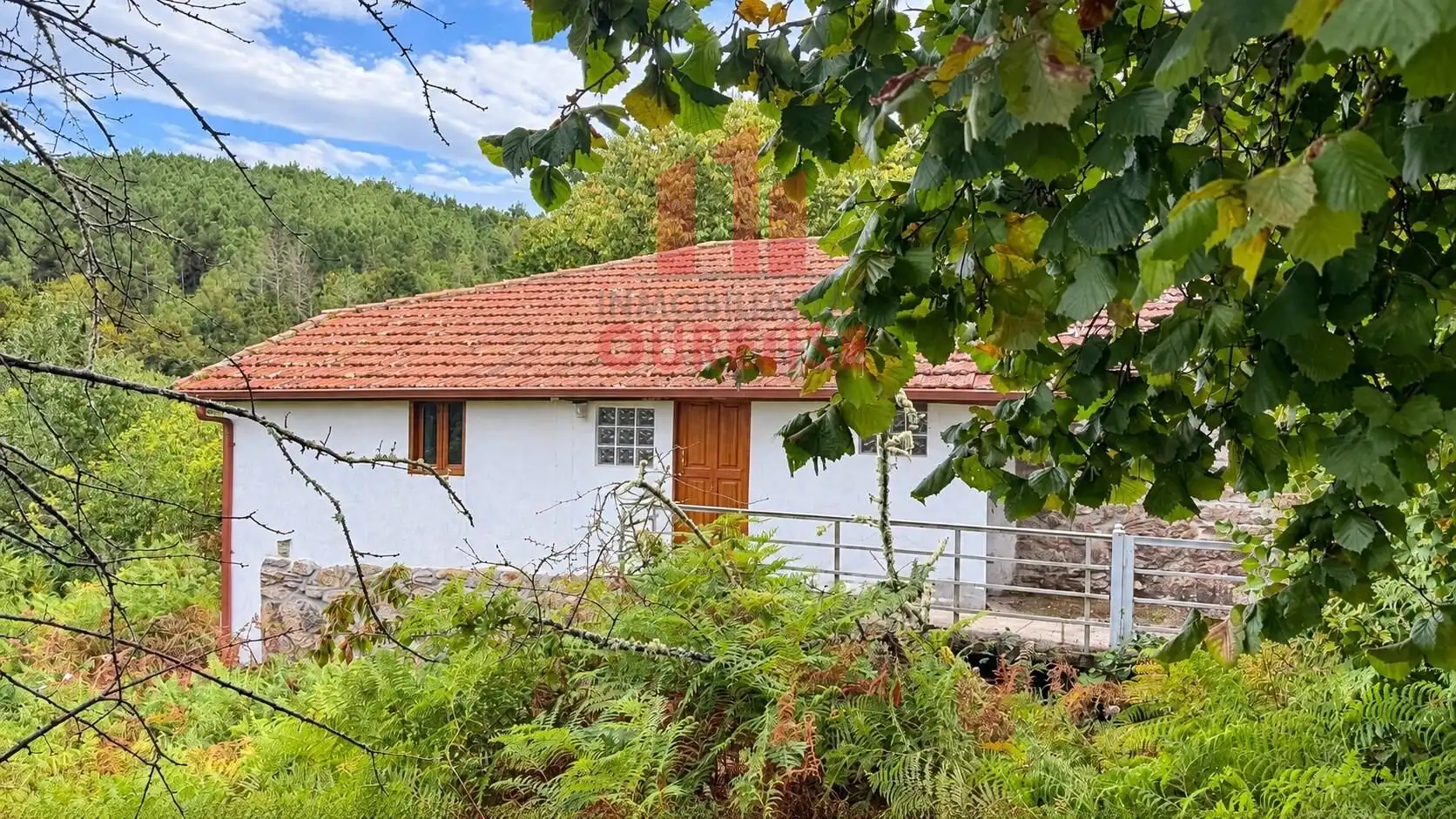 Exterior view of Houses for sale in Ramirás, Ourense
