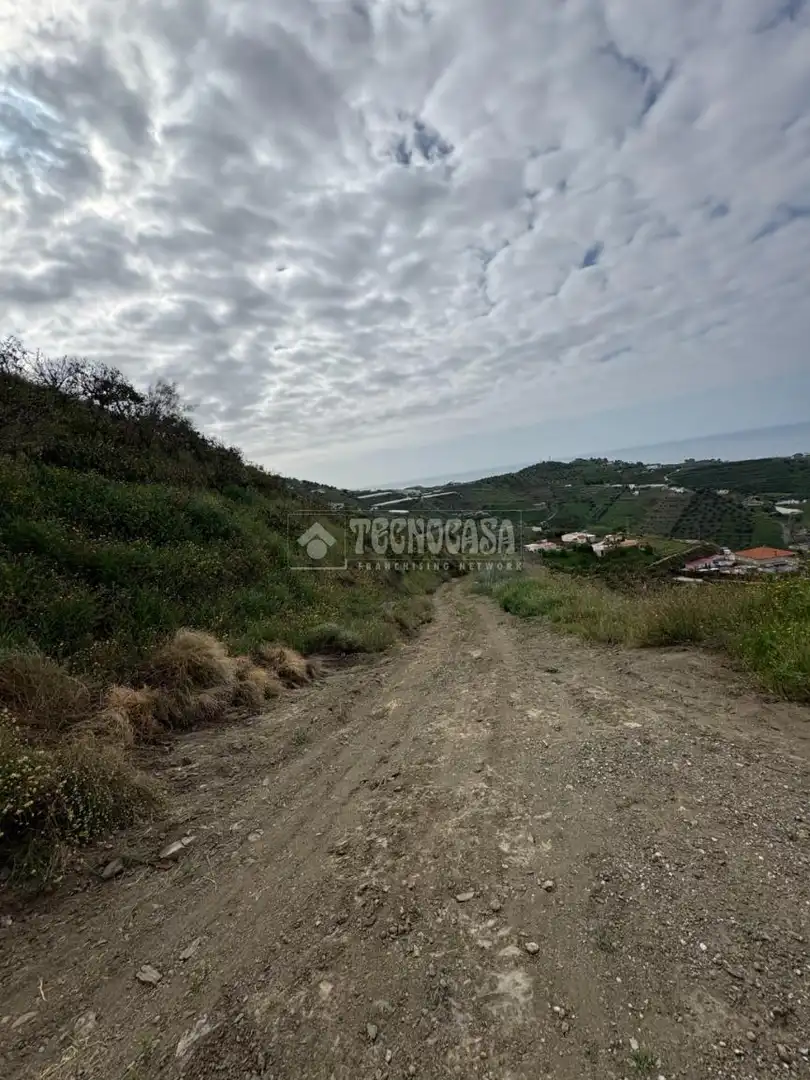 Terreny rústic en venda a Algarrobo pueblo, imagen 4