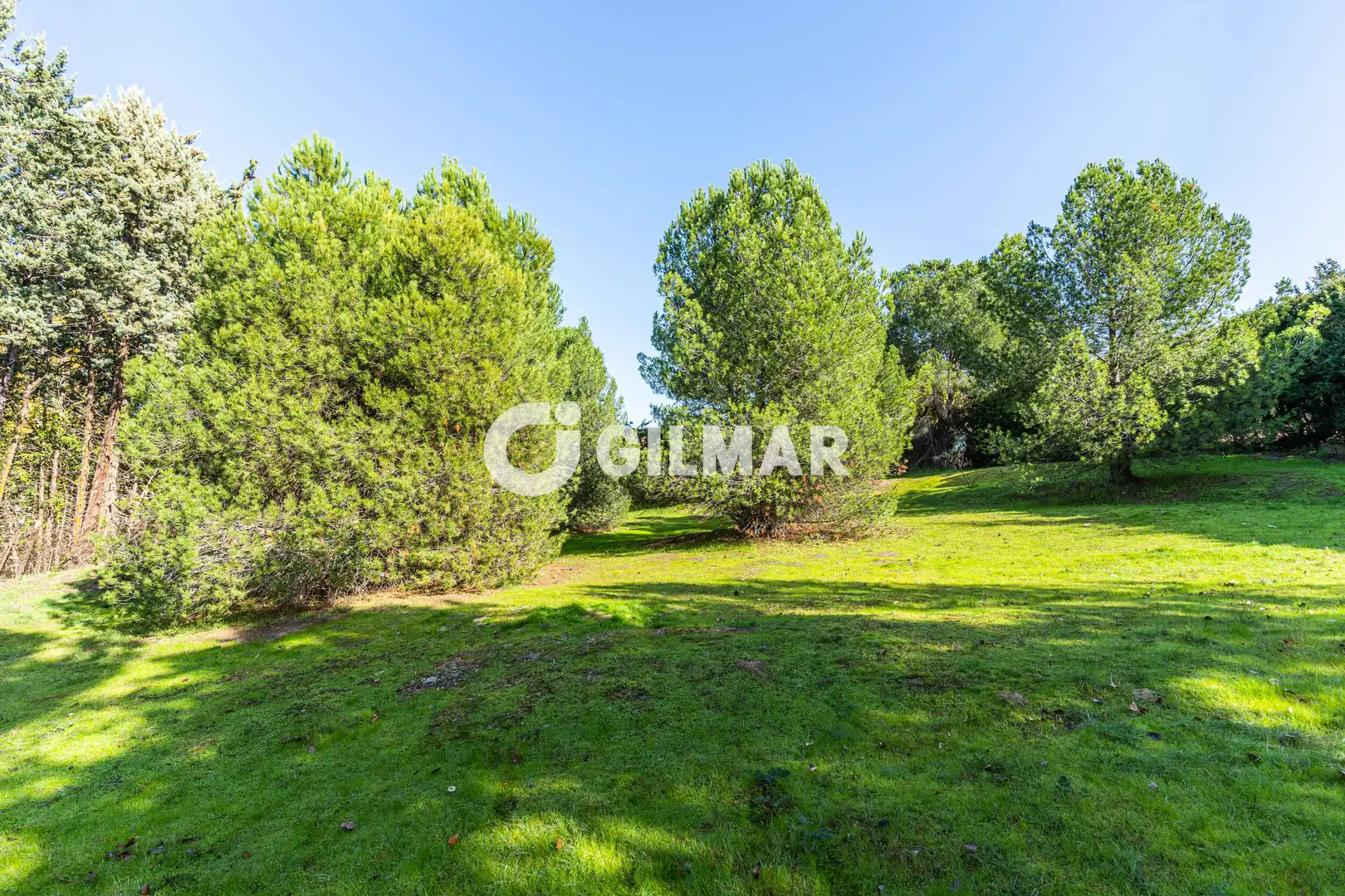 Casa o xalet en venda en Monte Rozas