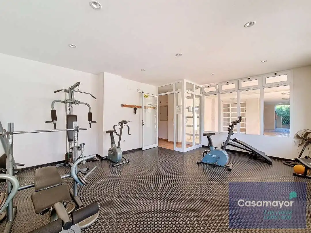 Ático con terraza en alquiler en Playa de San Juan - El Cabo de las Huertas, imagen 20