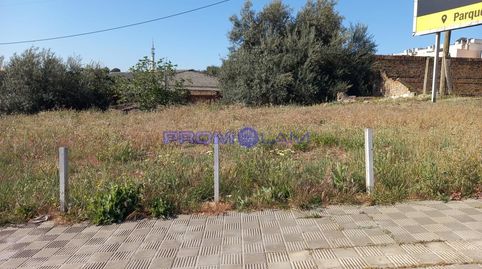 Foto 5 de Residencial en venda a Reina Sofía, Santa Eufemia, Tomares