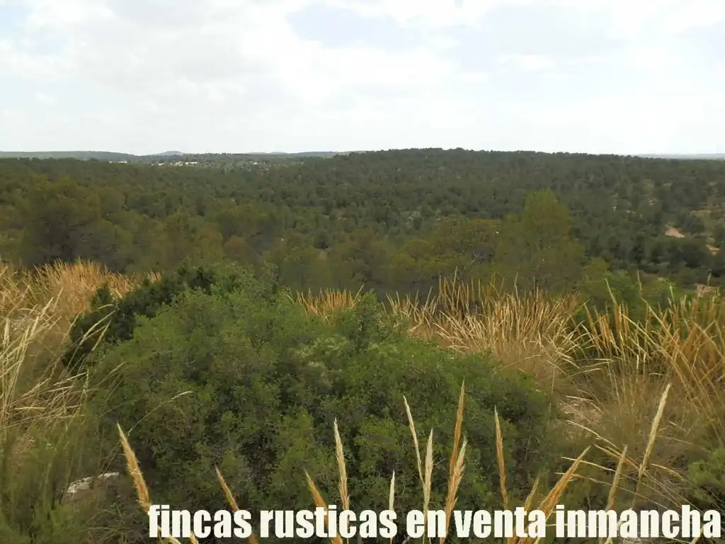 Rural land for sale in Chinchilla de Monte-Aragón, imagen 7