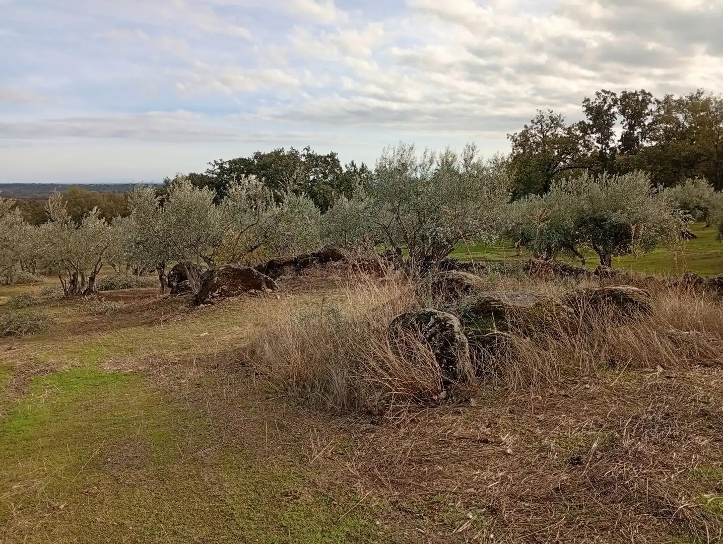 Terreni e lotti in vendita a Villanueva de la Vera, imagen 34