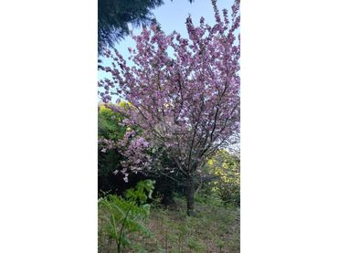 Rural land for sale in Camino de albaroz
