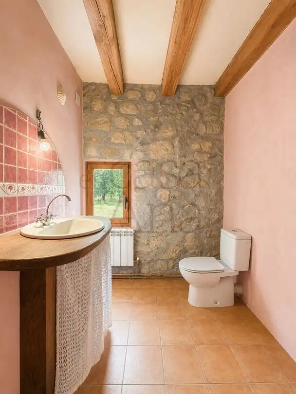 Bany de Casa o xalet en venda en Areatza amb Terrassa