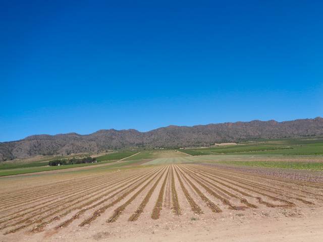 Terreno en Venta en Pesquera de Duero