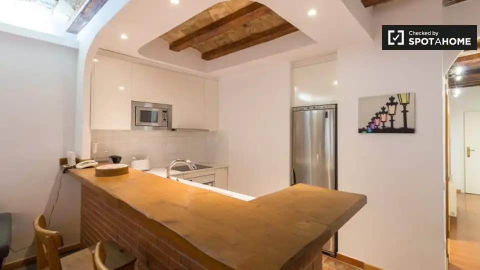 Appartamento con terrazza in affitto a Ciutat Vella, imagen 10