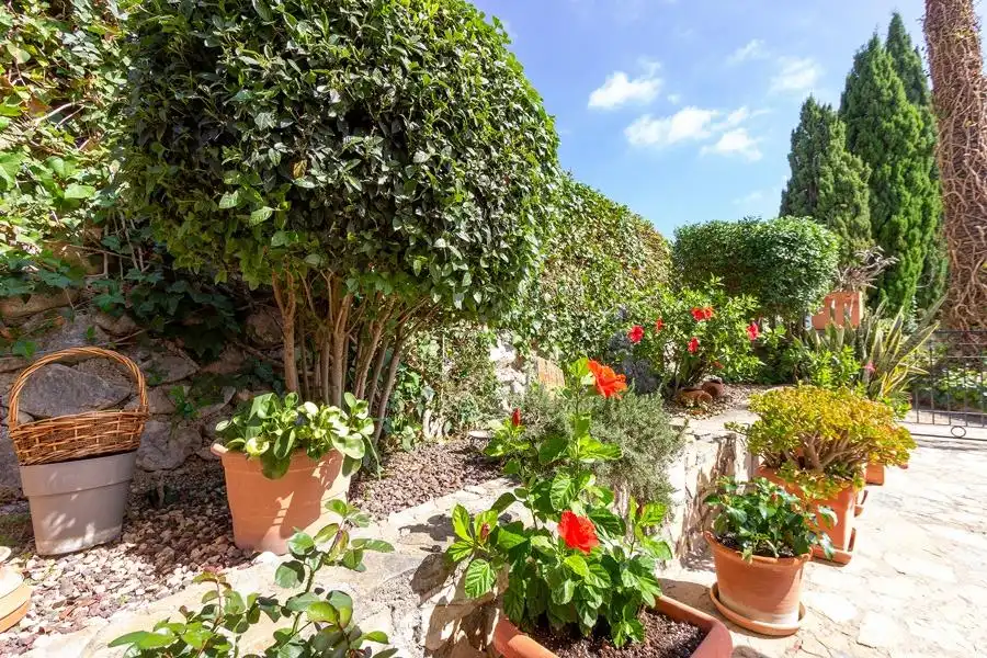 Jardí de Casa o xalet en venda en Finestrat amb Jardí privat, Terrassa i Traster