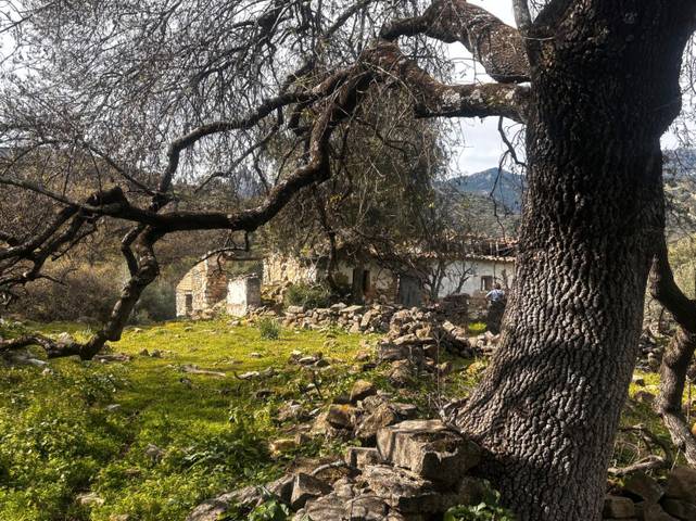 Terreno en Venta en N/A, -1 en Grazalema