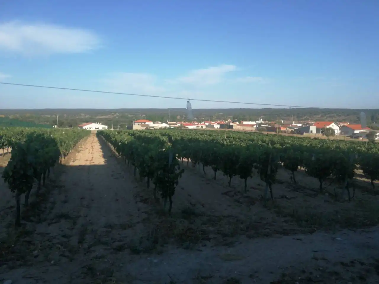 Finca rústica en venta en Puebla de Azaba