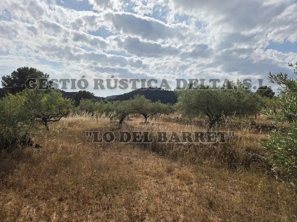 Finca rústica en venda en El Perelló