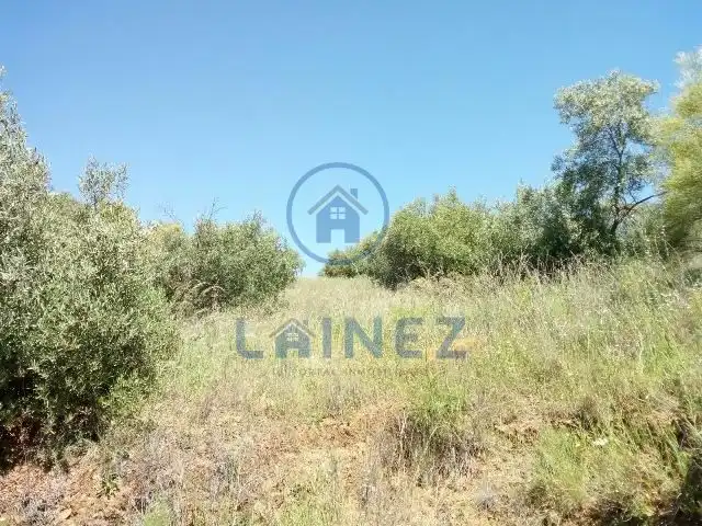 Rural land for sale in Espiel, imagen 10