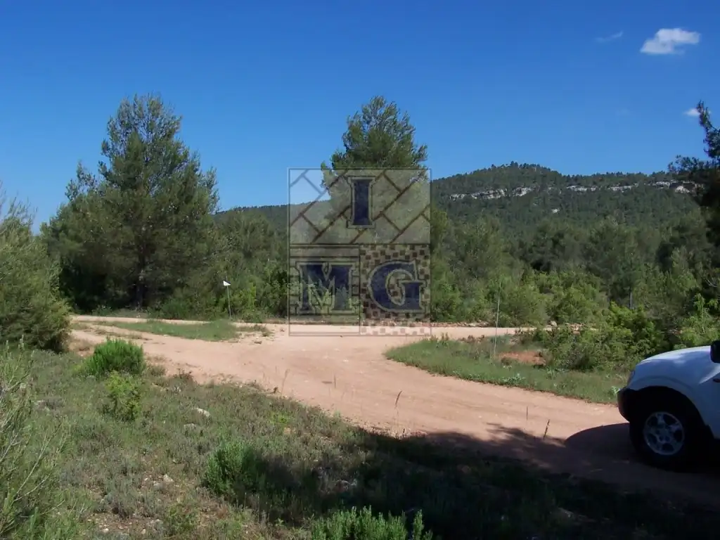 Finca rústica en venta en Yeste