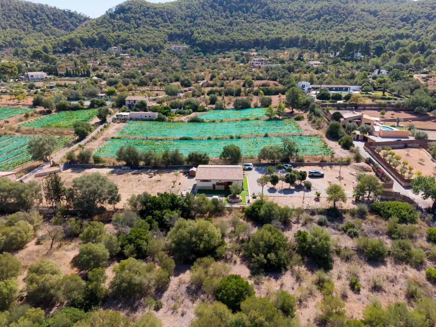 Xalet amb jardí en venda a Port d'Andratx, imagen 4