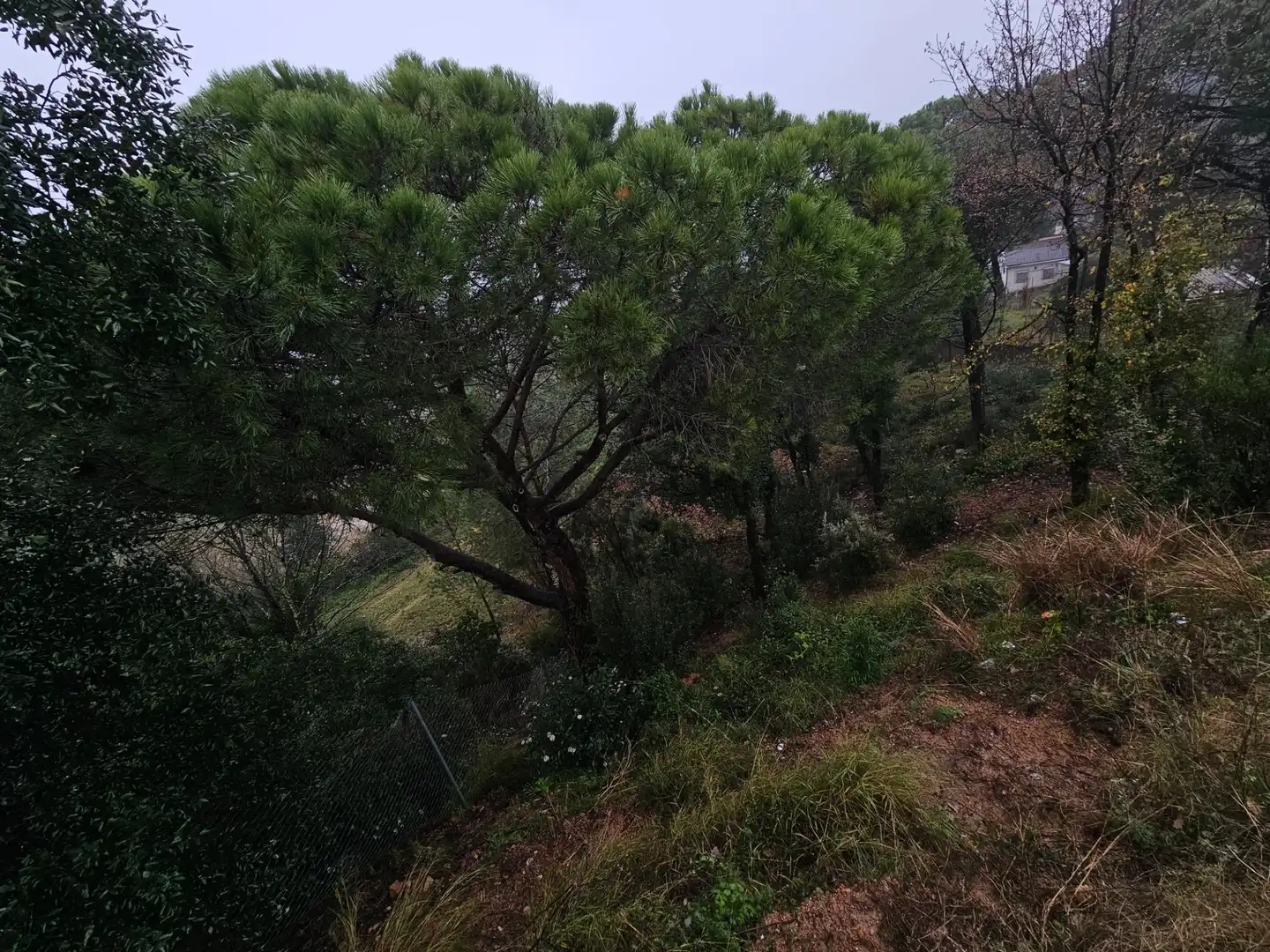 Terreno residenziale in vendita a Argimont 100, imagen 6