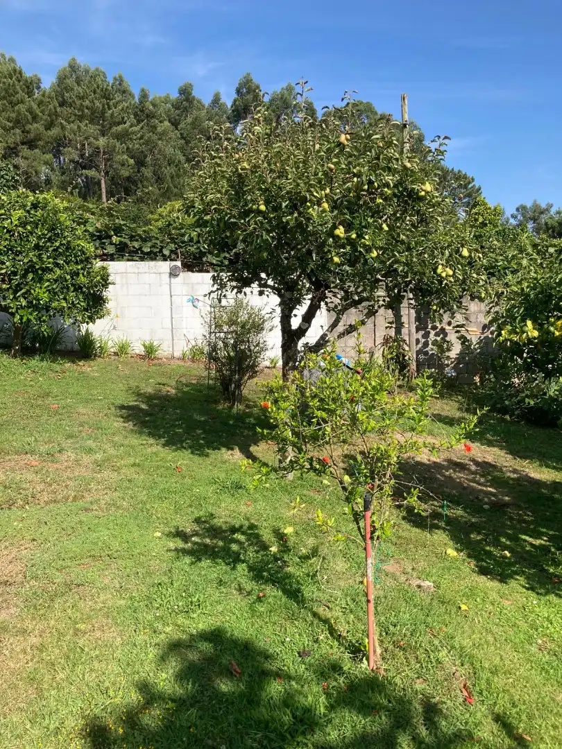 Casa o xalet en venda en Dorneda