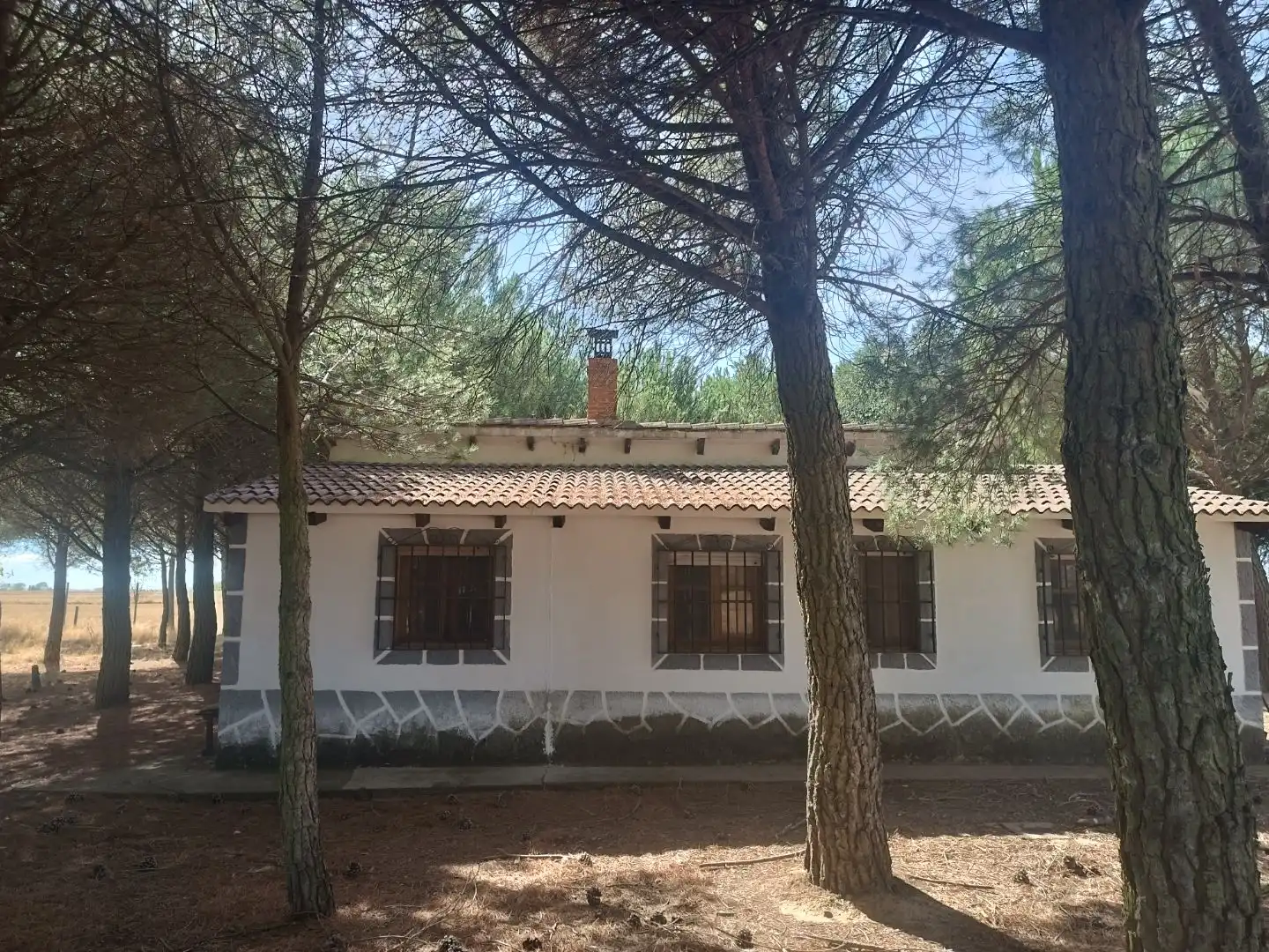 Vista exterior de Casa o xalet en venda en Villarrabé, Palencia